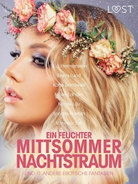 Ein feuchter Mittsommernachtstraum und 11 andere erotische Fantasien - B. J. Hermansson - E-Book