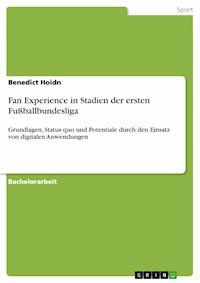 Fan Experience in Stadien der ersten Fußballbundesliga - Benedict Hoidn - E-Book