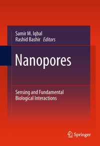 Nanopores -  - E-Book