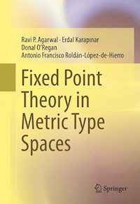 Fixed Point Theory in Metric Type Spaces - Ravi P. Agarwal - E-Book