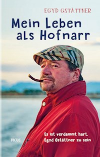 Mein Leben als Hofnarr - Egyd Gstättner - E-Book