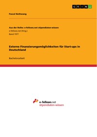 Externe Finanzierungsmöglichkeiten für Start-ups in Deutschland - Pascal Nothwang - E-Book
