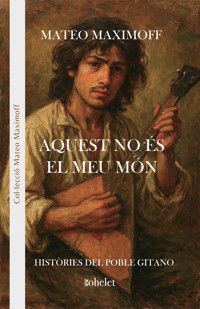 Aquest no és el meu món - Matéo Maximoff - E-Book