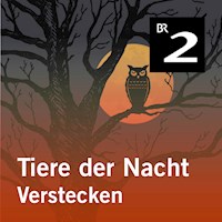 Tiere der Nacht: Verstecken - Silke Wolfrum - Hörbuch