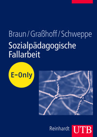 Sozialpädagogische Fallarbeit - Andrea Braun - E-Book