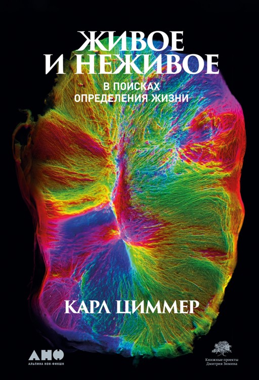 «Тайные знаки»: почему люди видят смысл даже там, где его нет — loftstudiokmv.ru