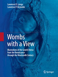 Wombs with a View - Lawrence D. Longo - E-Book