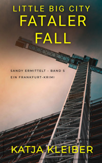 Little Big City Fataler Fall - Katja Kleiber - E-Book
