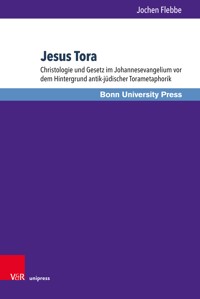 Jesus Tora - Jochen Flebbe - E-Book