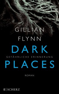 Dark Places - Gefährliche Erinnerung - Gillian Flynn - E-Book