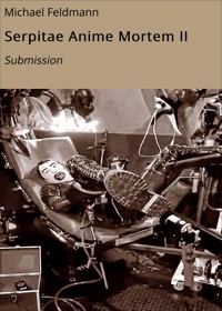 Serpitae Anime Mortem II - Michael Feldmann - E-Book