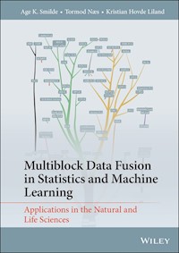 Multiblock Data Fusion in Statistics and Machine Learning - Age K. Smilde - E-Book