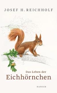 Das Leben der Eichhörnchen - Josef H. Reichholf - E-Book
