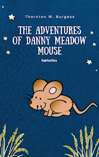 The Adventures of Danny Meadow Mouse - Thornton W Burgess - E-Book