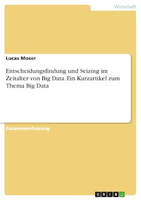 Entscheidungsfindung und Seizing im Zeitalter von Big Data. Ein Kurzartikel zum Thema Big Data - Lucas Moser - E-Book