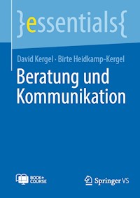 Beratung und Kommunikation - David Kergel - E-Book