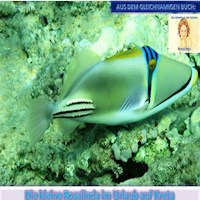 Die kleine Rosalinda im Urlaub auf Kreta - Monika Schuberth - Hörbuch