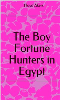 The Boy Fortune Hunters In Egypt - Floyd Akers - E-Book