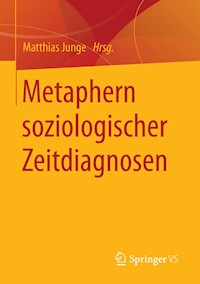 Metaphern soziologischer Zeitdiagnosen -  - E-Book