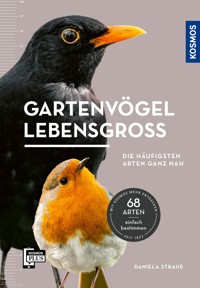 Gartenvögel lebensgroß - Daniela Strauß - E-Book