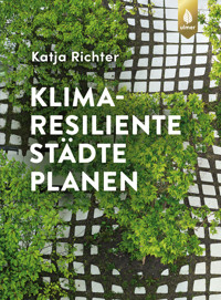 Klimaresiliente Städte planen - Katja Richter - E-Book
