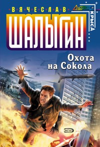 Охота на Сокола - Вячеслав Шалыгин - E-Book