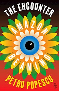 The Encounter - Petru Popescu - E-Book