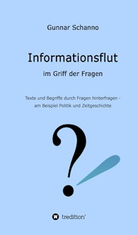 Informationsflut im Griff der Fragen - Gunnar Schanno - E-Book