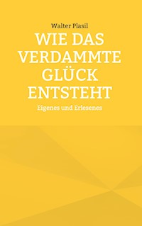 Wie das verdammte Glück entsteht - Walter Plasil - E-Book