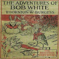 The Adventures of Bob White - Thornton W. Burgess - Hörbuch