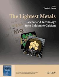 The Lightest Metals - Timothy P. Hanusa - E-Book