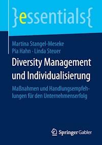 Diversity Management und Individualisierung - Martina Stangel-Meseke - E-Book