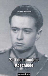 Zeit der hundert Abschiede - Helmut Hermann - E-Book