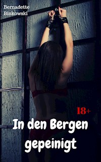 In den Bergen gepeinigt - Bernadette Binkowski - E-Book