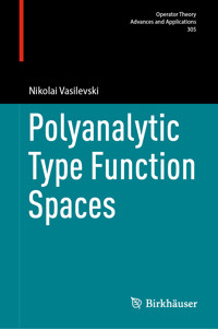 Polyanalytic Type Function Spaces - Nikolai Vasilevski - E-Book