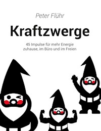 Kraftzwerge - Peter Flühr - E-Book