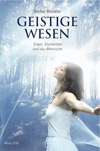 Geistige Wesen - Stefan Brönnle - E-Book