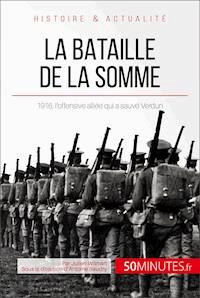 La bataille de la Somme - Julien Wilmart - E-Book
