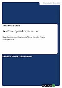 Real-Time Spatial Optimization - Johannes Scholz - E-Book