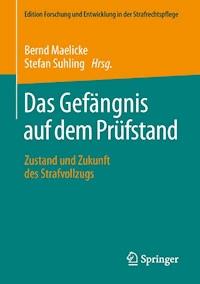 Das Gefängnis auf dem Prüfstand -  - E-Book