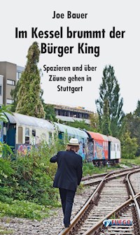 Im Kessel brummt der Bürger King - Joe Bauer - E-Book