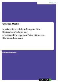 Muskel-Skelett-Erkrankungen. Eine Bestandsaufnahme zur arbeitsweltbezogenen Prävention von Rückenschmerzen - Christian Martin - E-Book