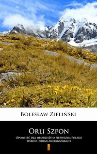 Orli Szpon - Bolesław Zieliński - E-Book