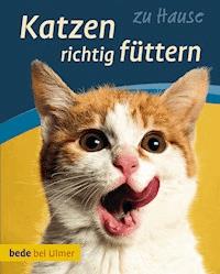 Katzen richtig füttern - Anna Laukner - E-Book