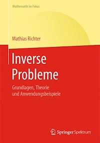 Inverse Probleme - Mathias Richter - E-Book
