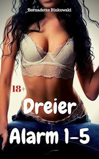 Dreier Alarm 1-5 - Bernadette Binkowski - E-Book