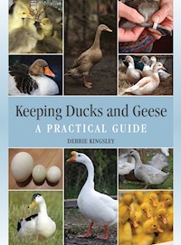 Keeping Ducks and Geese - Debbie Kingsley - E-Book