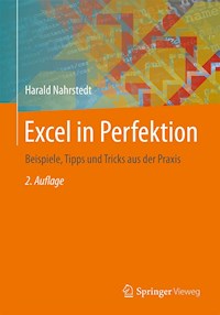 Excel in Perfektion - Harald Nahrstedt - E-Book