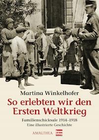 So erlebten wir den Ersten Weltkrieg - Martina Winkelhofer - E-Book