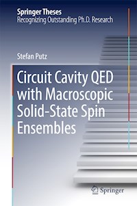 Circuit Cavity QED with Macroscopic Solid-State Spin Ensembles - Stefan Putz - E-Book